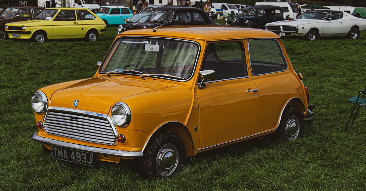 Đăng Ký Nhãn Hiệu Cho Sản Phẩm Nông Nghiệp Và Thực Phẩm: Quy Định Đặc Thù Và Lợi Thế Cạnh Tranh