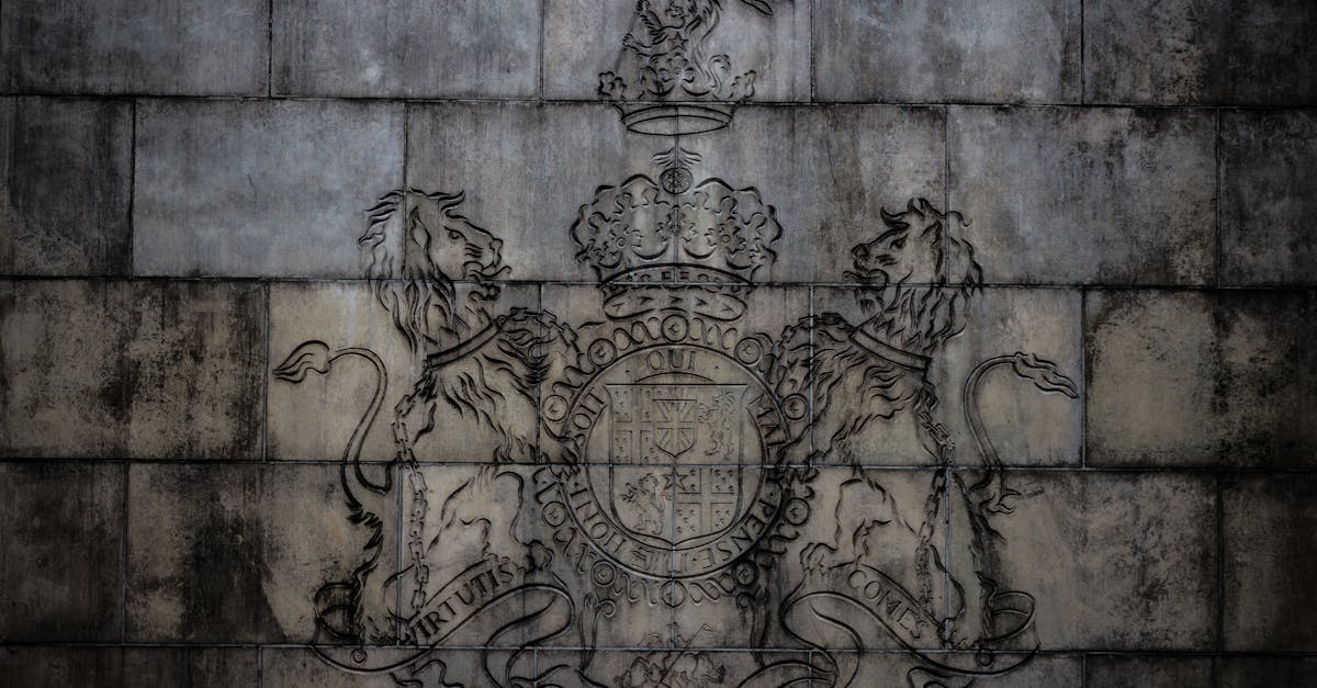 Bảo Hộ Nhãn Hiệu Cho Dịch Vụ Giáo Dục Và Đào Tạo Trực Tuyến: Quyền Lợi Khi Bị Sao Chép Thương Hiệu Trên Nền Tảng Số