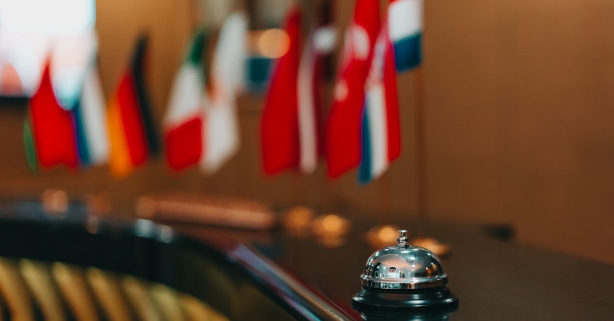 Nhãn Hiệu Quốc Tế Cho Startup Việt: Khi Nào Nên Nghĩ Đến Bảo Hộ Toàn Cầu Ngay Từ Vòng Gọi Vốn Đầu Tiên?